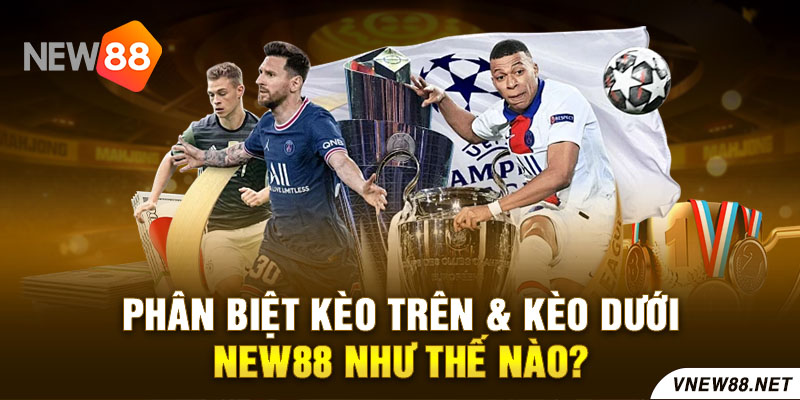 Phân biệt kèo trên & kèo dưới New88 như thế nào?