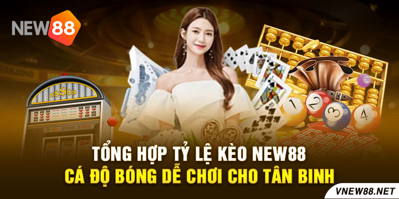 Tổng hợp tỷ lệ kèo New88 cá độ bóng dễ chơi cho tân binh