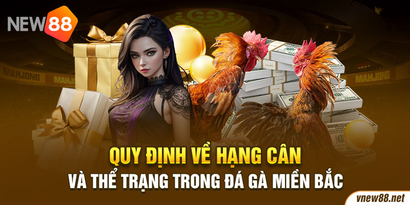 Quy định về hạng cân và thể trạng trong đá gà miền Bắc