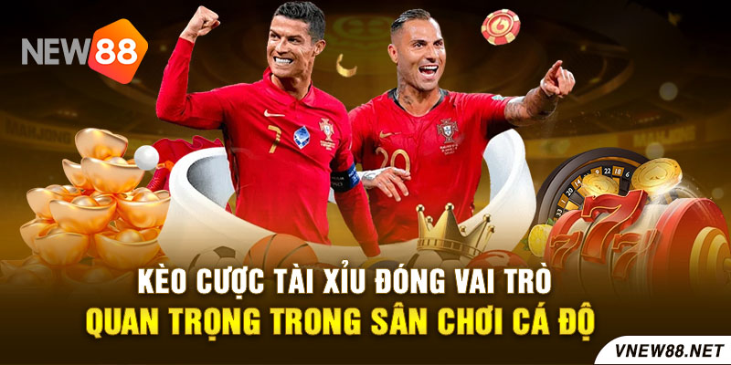 Kèo cược tài xỉu đóng vai trò quan trọng trong sân chơi cá độ