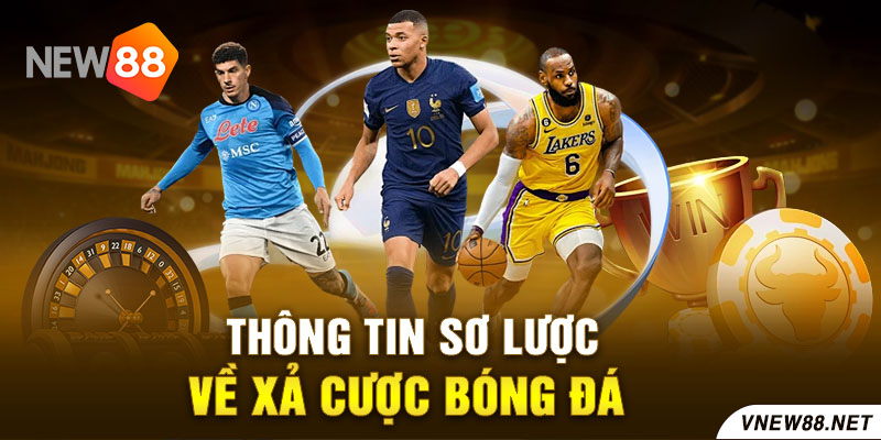 Thông tin sơ lược về xả cược bóng đá