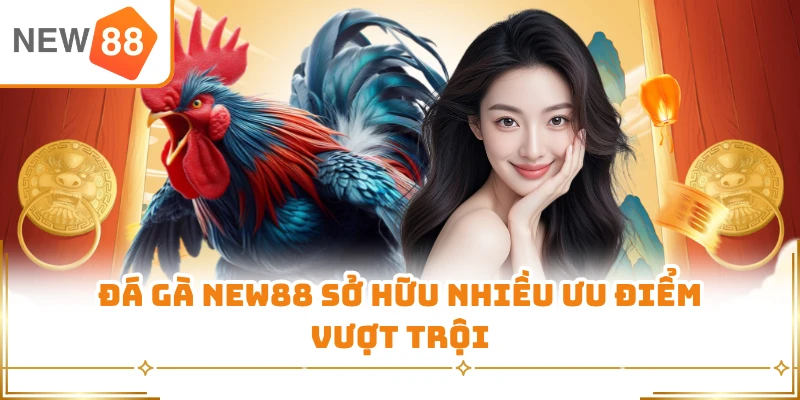 Đá gà New88 sở hữu nhiều ưu điểm vượt trội