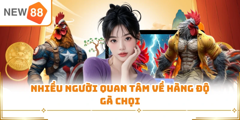 Nhiều người quan tâm về hàng độ gà chọi