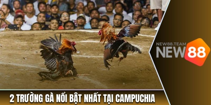 2 trường gà nổi bật nhất tại Campuchia