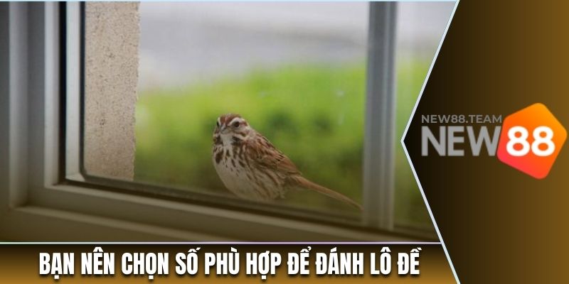 Bạn nên chọn số phù hợp để đánh lô đề