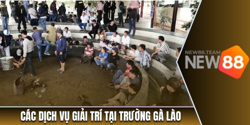Các dịch vụ giải trí tại trường gà Lào