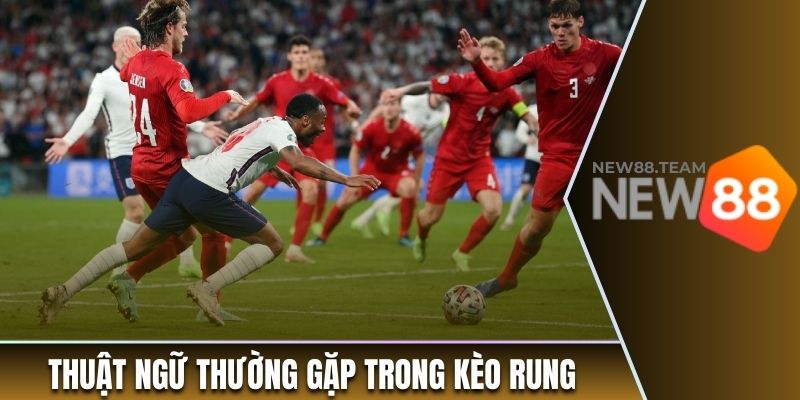 Các thuật ngữ thường bắt gặp trong kèo cược rung 
