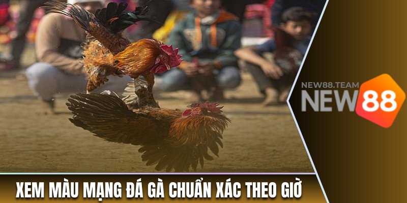 Cách xem màu mạng đá gà chuẩn xác theo giờ 