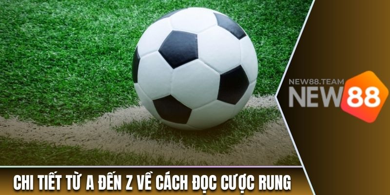 Chi tiết từ A đến Z về cách đọc kèo cược rung 