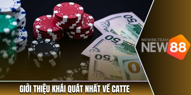 Giới thiệu khái quát nhất về Catte
