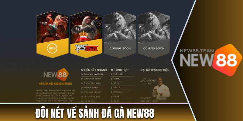 Giới thiệu tổng quan về sảnh đá gà New88