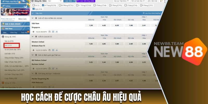 Học cách để cược châu Âu hiệu quả