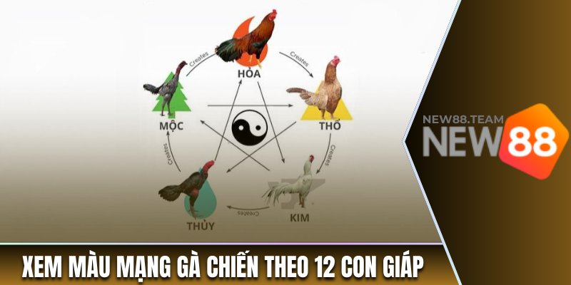Hướng dẫn xem màu mạng gà chiến theo 12 con giáp