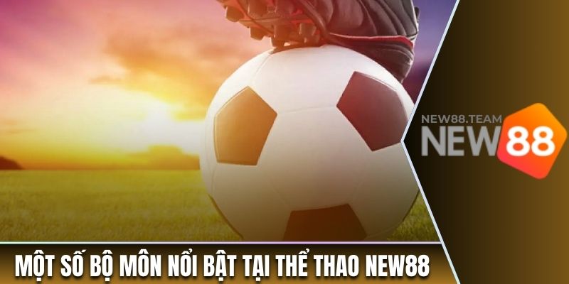 Một số bộ môn nổi bật tại thể thao tại nhà cái New88