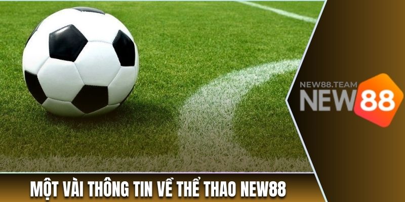 Một vài thông tin về sảnh cá cược thể thao New88