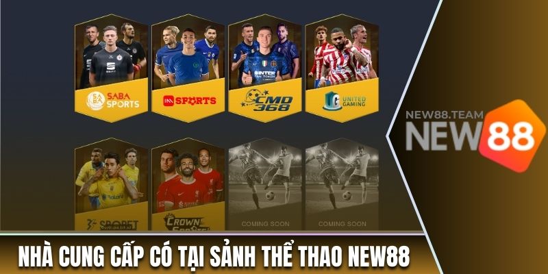 Những nhà cung cấp nổi tiếng có tại sảnh thể thao New88