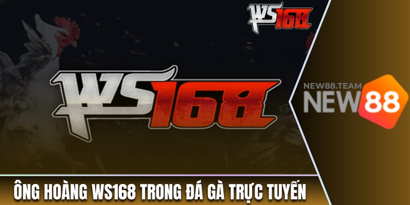 Ông hoàng WS168 trong lĩnh vực đá gà trực tuyến