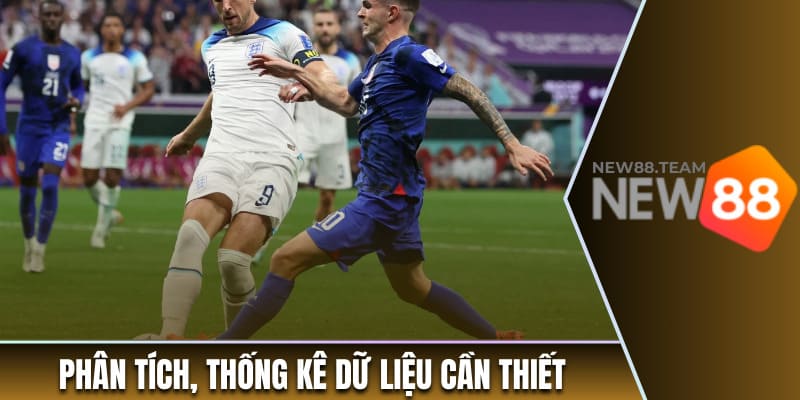 Thực hiện phân tích, thống kê dữ liệu cần thiết