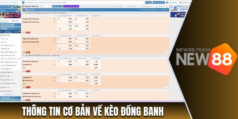 Sơ lược thông tin về kèo đồng banh New88