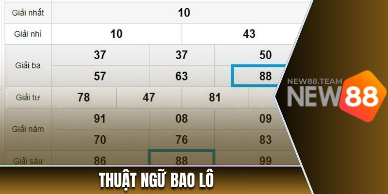 Thuật ngữ bao lô trong cá cược