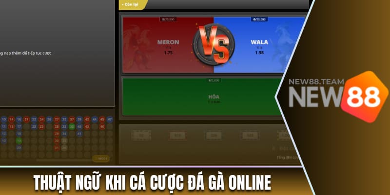 Thuật ngữ khi cá cược đá gà online