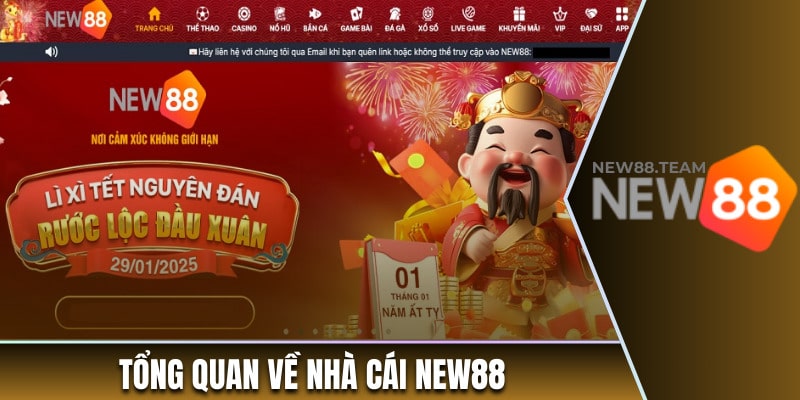Tổng quan về nền tảng cá cược uy tín New88