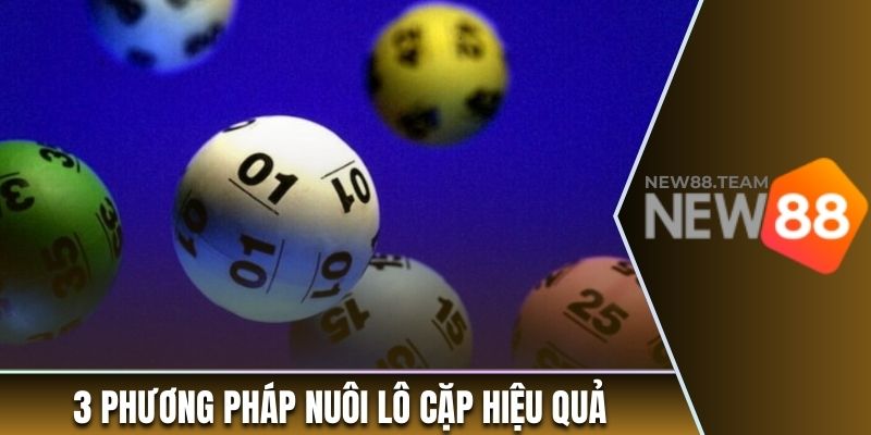 Top 3 phương pháp nuôi lô cặp hiệu quả