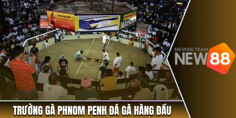 Trường gà Phnom Penh đá gà hàng đầu