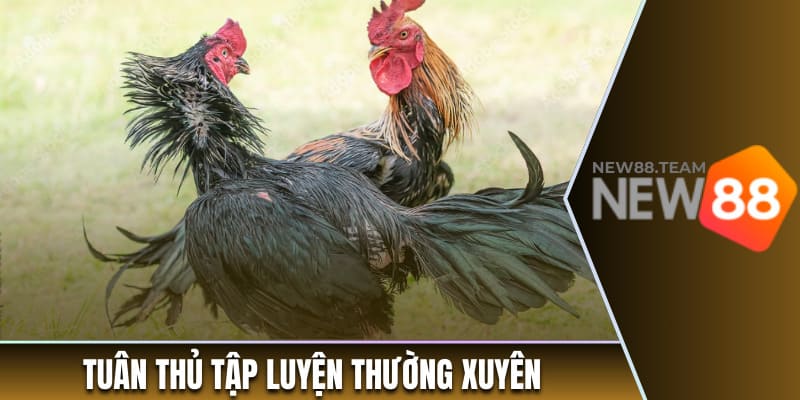 Tuân thủ chế độ tập luyện một cách thường xuyên