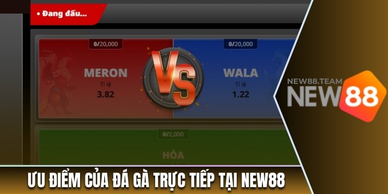 Ưu điểm của đá gà trực tiếp tại New88