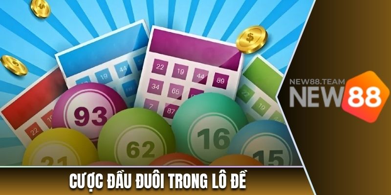 Xuống tiền cược đầu đuôi